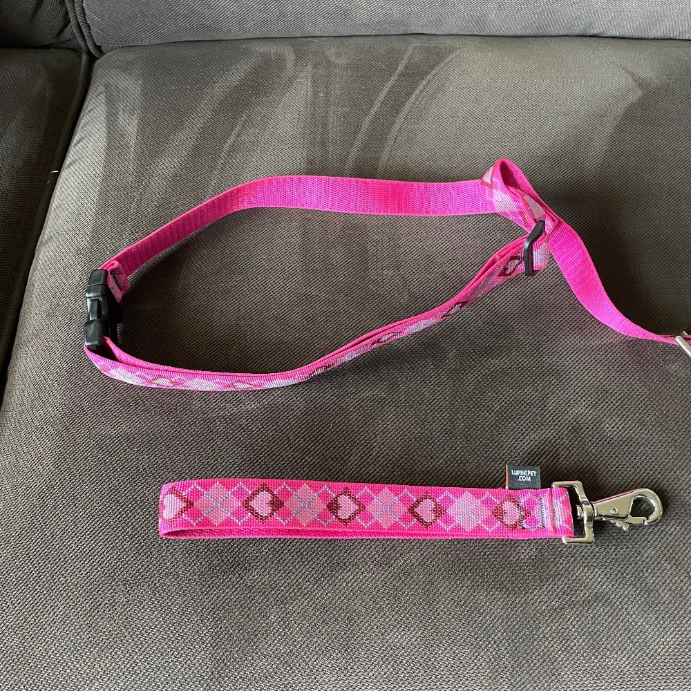 Lupine Dog Harness Set